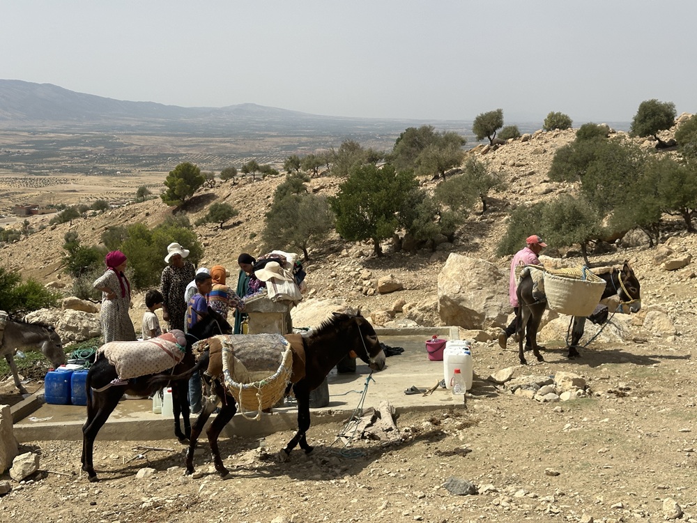 تحتفل تونس اليوم باليوم العالمي للمياه واليوم الوطني للاقتصاد في الماء