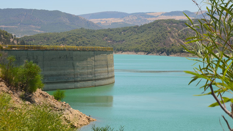 رئيس جمعية المياه والتنمية: 54% نسبة امتلاء السدود ورغم التساقطات تونس مازلت في وضعية حرجة