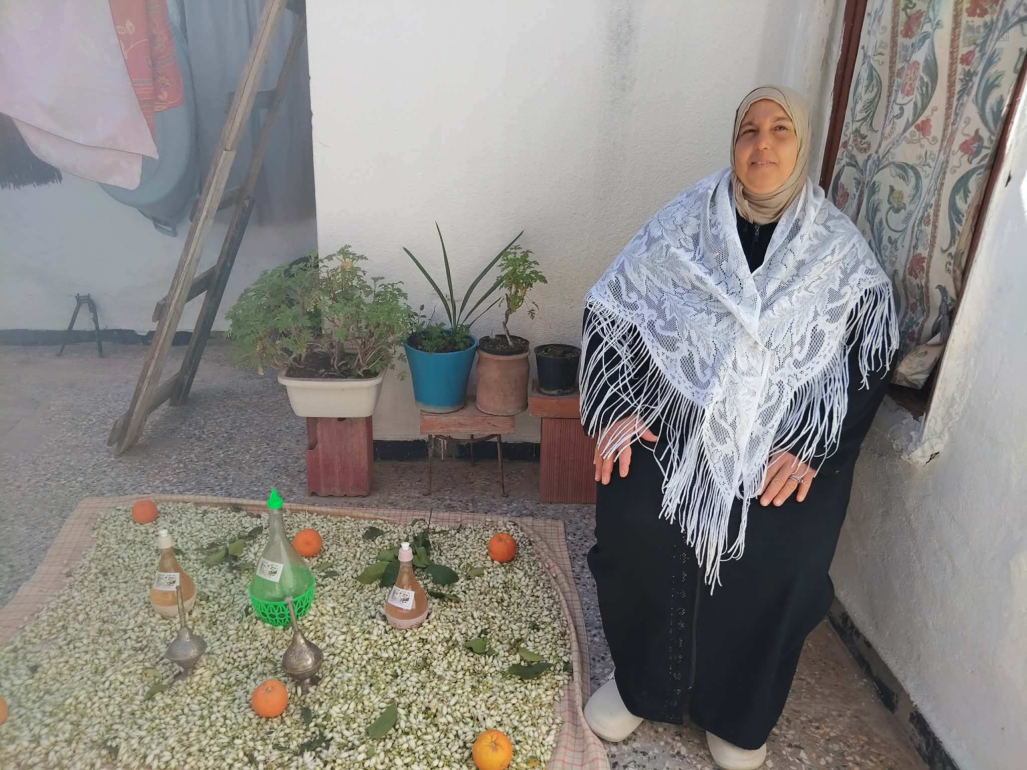 تقطير الزهر عادة أندلسية عريقة ما تزال تحافظ على حضورها في عدد من البيوث في معتمدية تستور