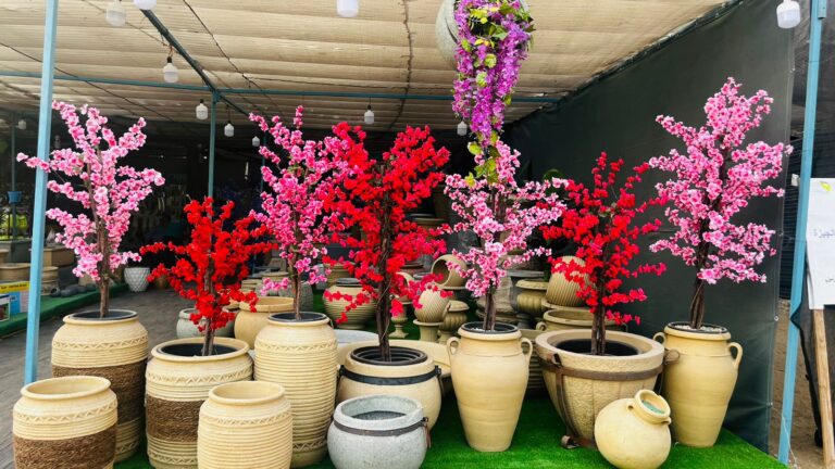 من 26 إلى 28 مارس: تنظيم الدورة الأولى لمعرض الورود والأزهار بمنطقة بوترفس في طبرقة