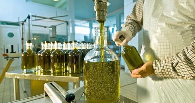 زيت الزيتون: تصدير 184،3 ألف طن بقيمة 2263 مليون دينار خلال الأشهر الأربعة الأولى من الموسم 2025 /2026