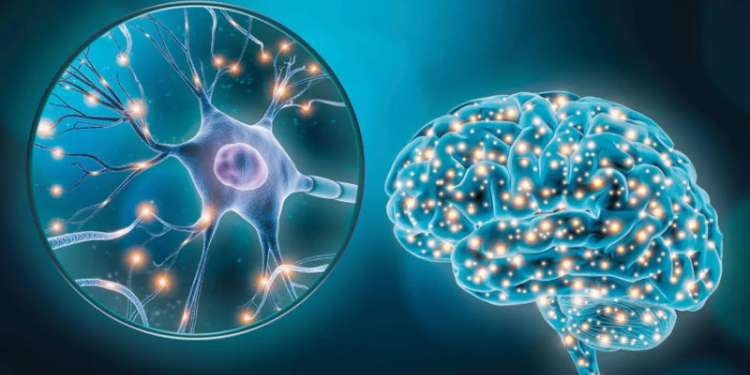 تونس تحتضن اللقاء العلمي الأول حول العلوم العصبية والطب الفيزيائي يوم 27 مارس 2026