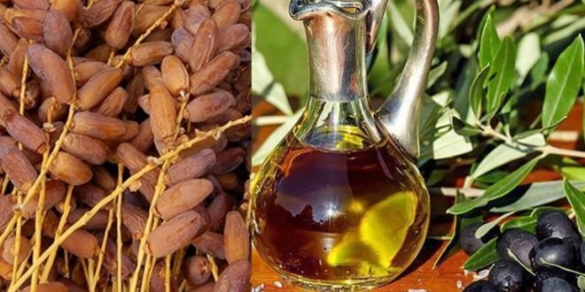 مركز النهوض بالصادرات: صادرات تونس نحو المغرب تصل إلى 973 مليون دينار في 2025 