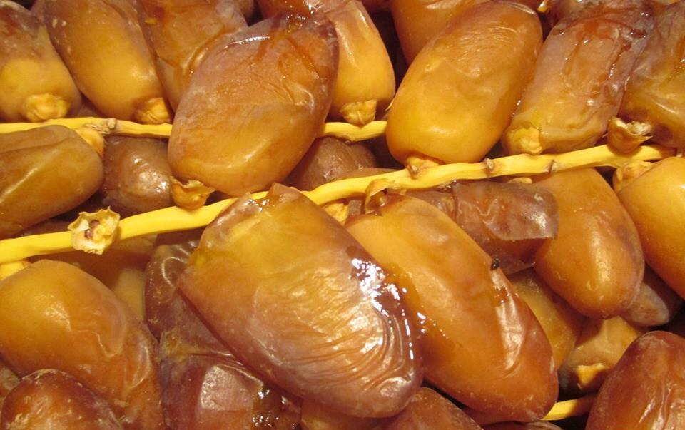 صادرات التمور التونسية تحقق نموا ملحوظا في الكميات والقيمة خلال موسم 2025/2026.