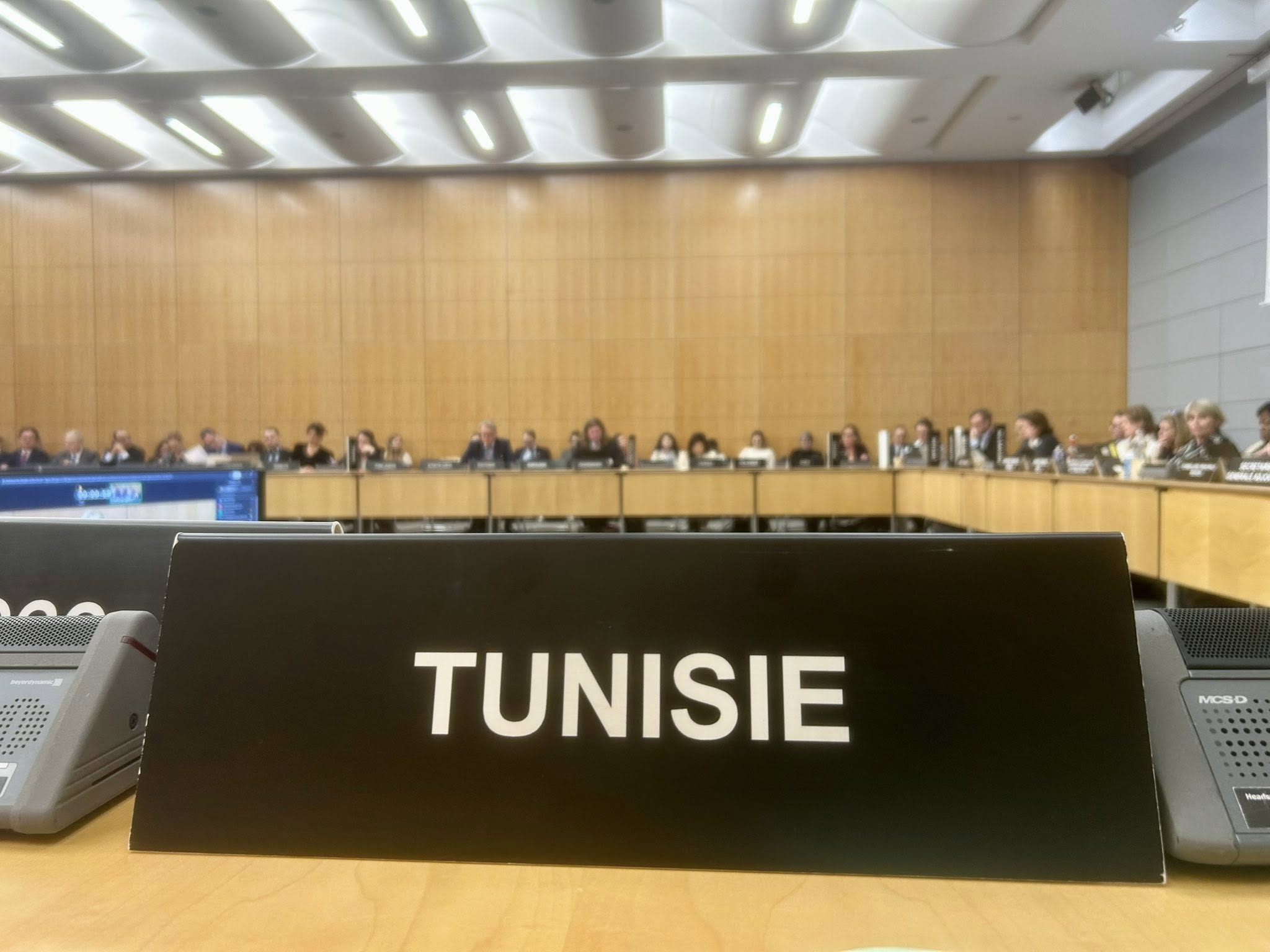 تونس تشارك في الحوار السنوي لمنظمة التعاون والتنمية الاقتصادية حول برنامج التنمية المستدامة في أفق 2030