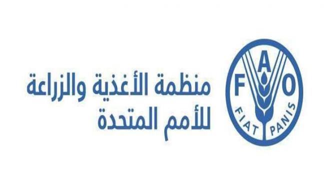 تعزيز القدرات الوطنية في مجال إدارة الأراضي.