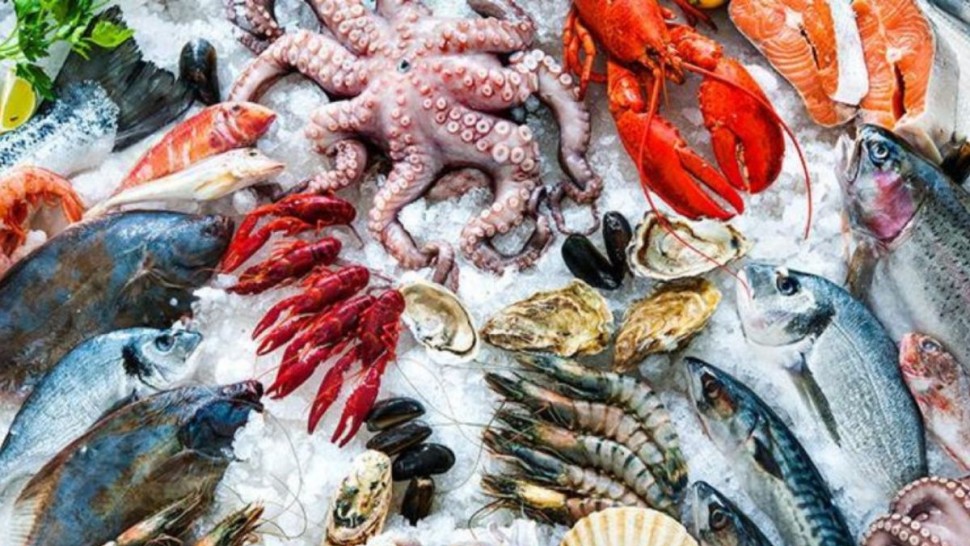 فائض ميزان منتوجات الصيد البحري يقدّر بـــ 9،1 مليون دينار خلال جانفي 2026