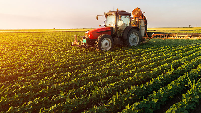 تقدّم موسم البذر في الزراعات الكبرى بنسبة 87 بالمائة إلى منتصف مارس 2026