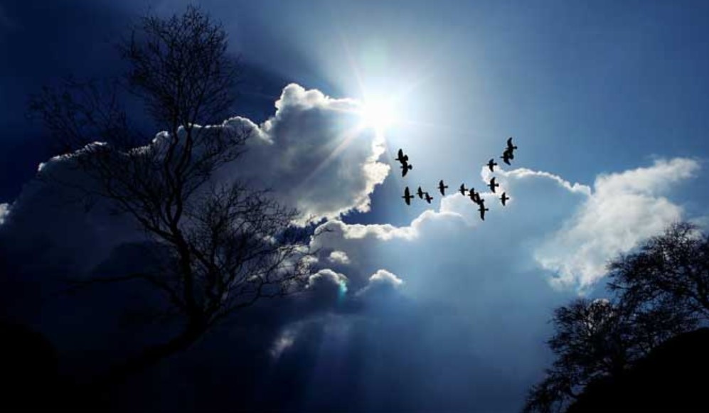 طقس الأحــد : سحب كثيفة مع أمطار متفرّقة