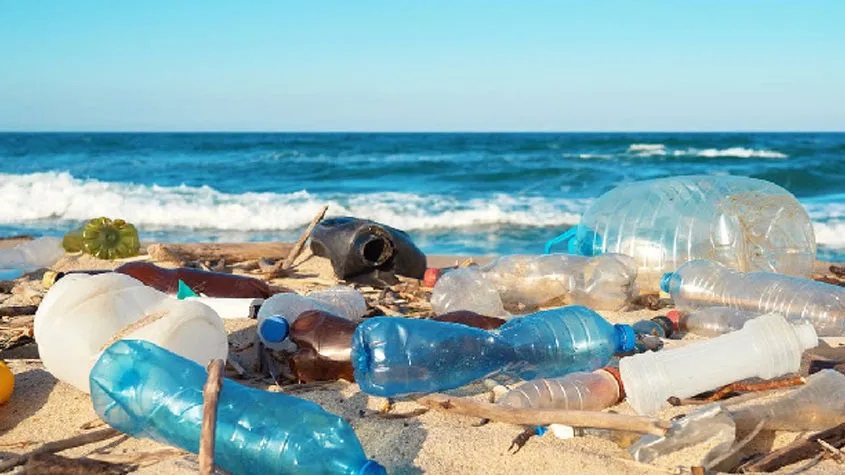 نابل: رفع ما يفوق 1 طن من الفضلات البلاستيكة خلال حملة نظافة بشاطئ سليمان