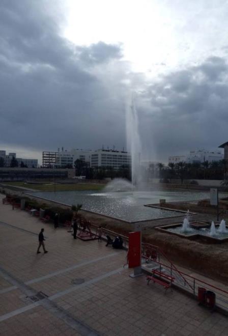 مدينة العلوم بتونس تحتفل باليوم العالمي للمياه يوم 04 أفريل المقبل تحت شعار "المياه والمساواة بين الجنسين"