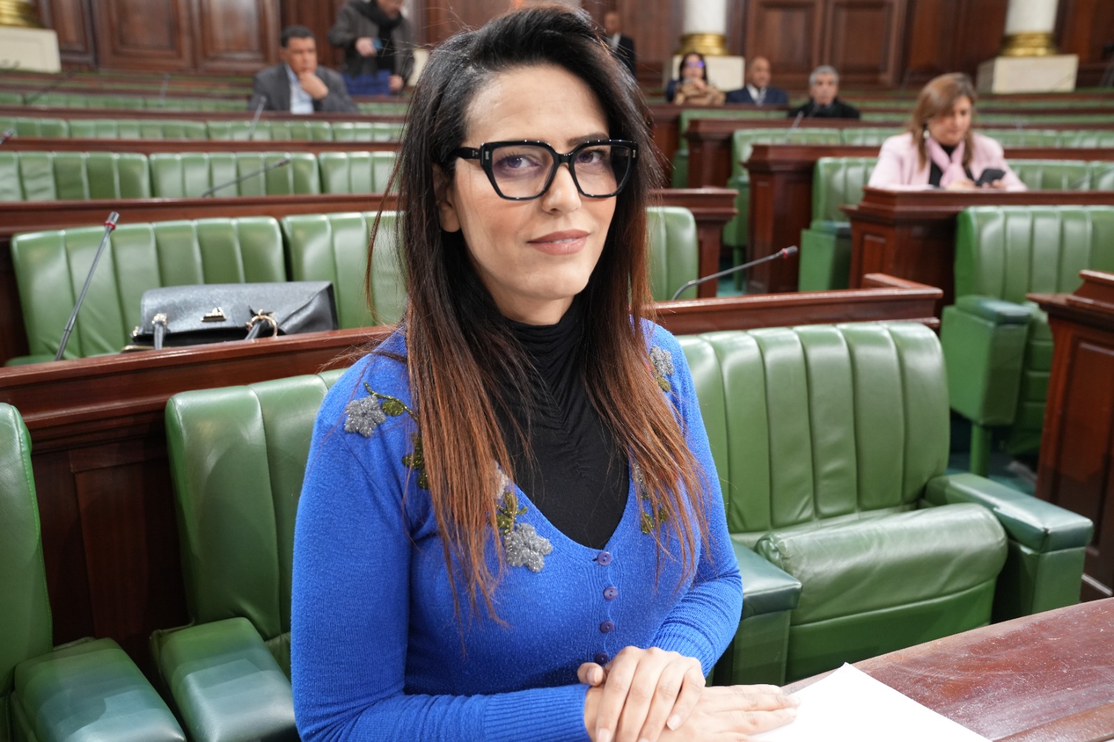 النائب  ريم المعشاوي  :  وزير التجهيز يعلن  عن  الشروع في التصفية العقارية وشراء الأراضي الخاصة بمشروع  الطريق السيارة تونس -الكاف 