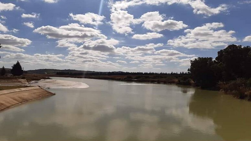 حسين الرحيلي يؤكد توسّع خارطة العطش في تونس