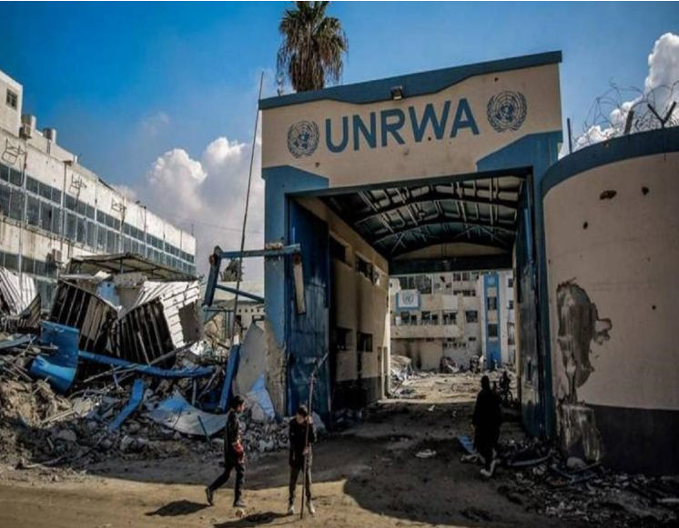 الأونروا تطالب بإجراء تحقيق في مقتل موظفيها خلال الحرب على غزة