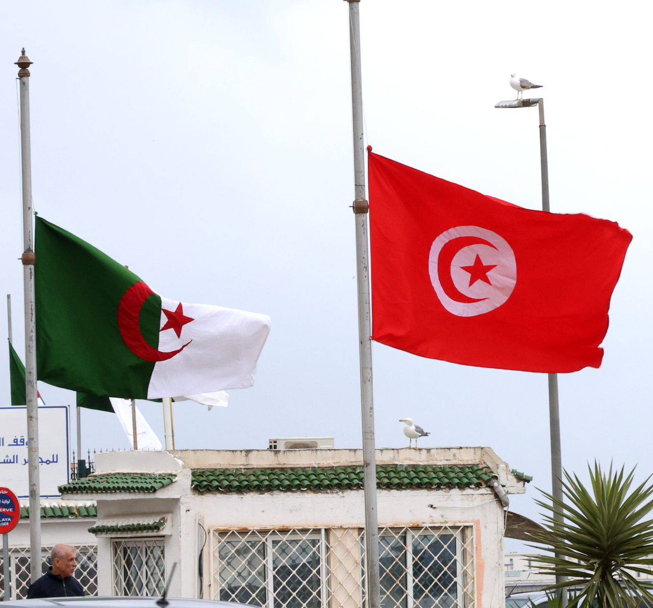 تنصيب مجموعة الصداقة والأخوة البرلمانية بين مجلس الجهات والأقاليم ومجلس الأمـــة الجزائري