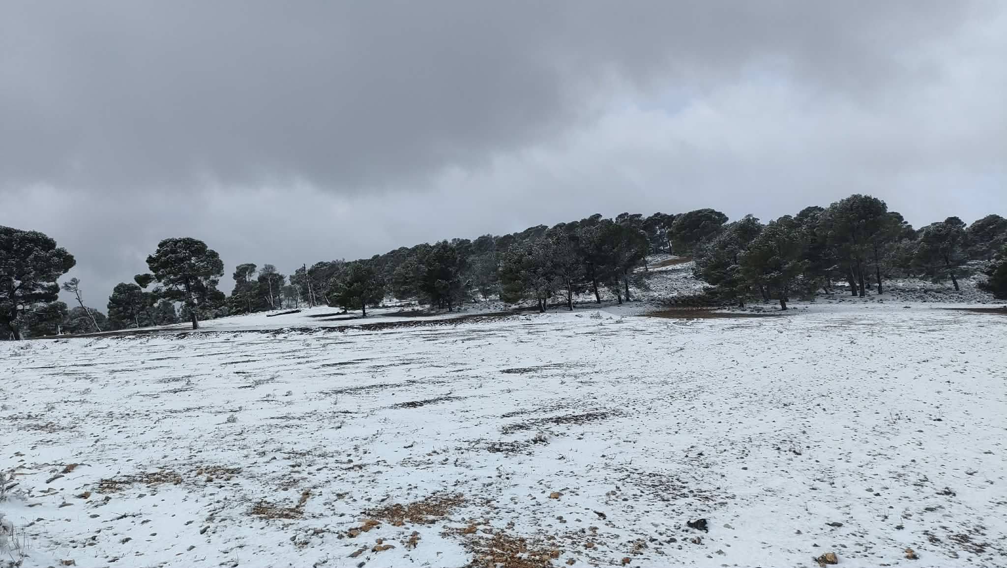 خلال الـ24 ساعة الماضية: كميات الأمطار بلغت 66 مم والرياح تجاوزت 90 كلم/ س