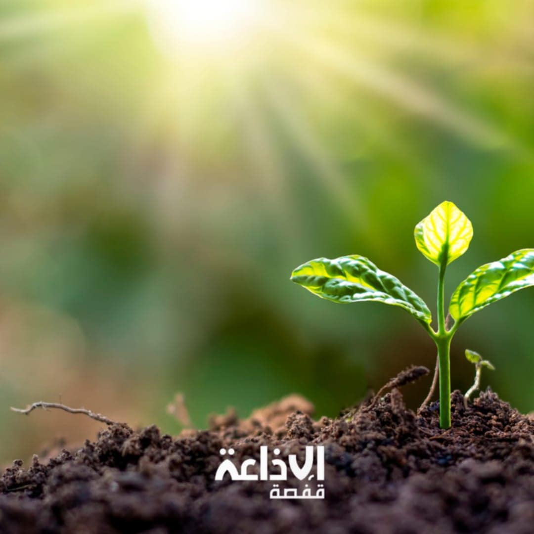 طقس اليوم : الحرارة في ارتفاع طفيف 