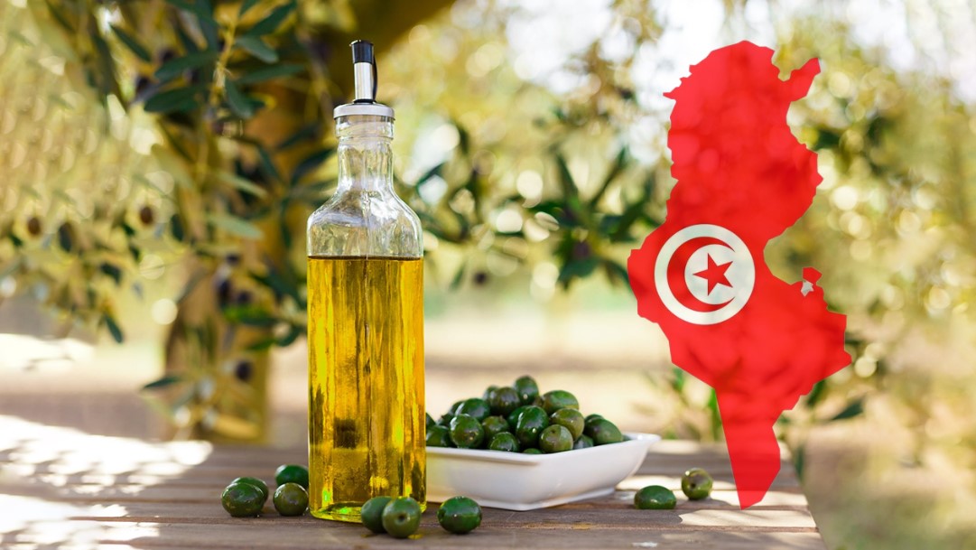 وفد من رجال أعمال كنغوليين يزور تونس من 6 إلى 9 أفريل الجاري لإبرام عقود تزود بزيت الزيتون