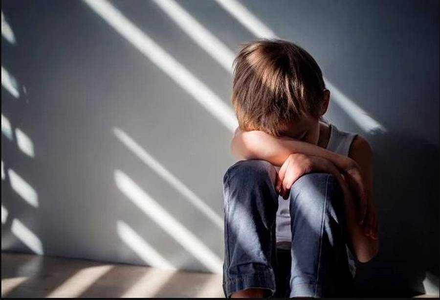 منوبة: ارتفاع عدد المنتفعين ببرنامج دمج الأطفال ذوي اضطراب طيف التوحّد برياض الأطفال إلى 22 طفلا