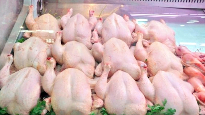 غدا .. صدور مقرر يضبط و ينظم هوامش الربح في قطاع الدواجن