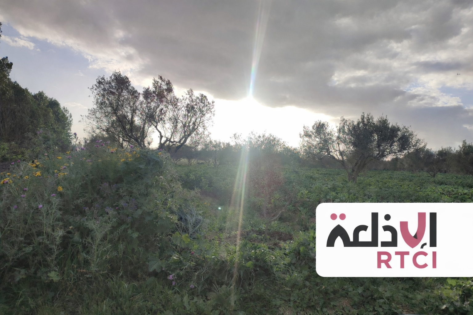 Temps partiellement nuageux et températures modérées ce lundi en Tunisie