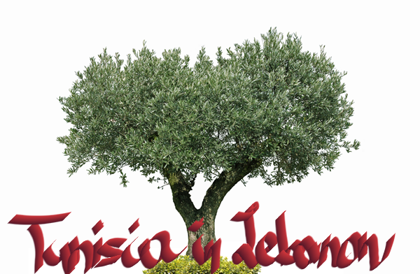 بعد إجلائهم من لبنان  : وصول دفعة رابعة تضم 11 تونسيا إلى مطار تونس قرطاج