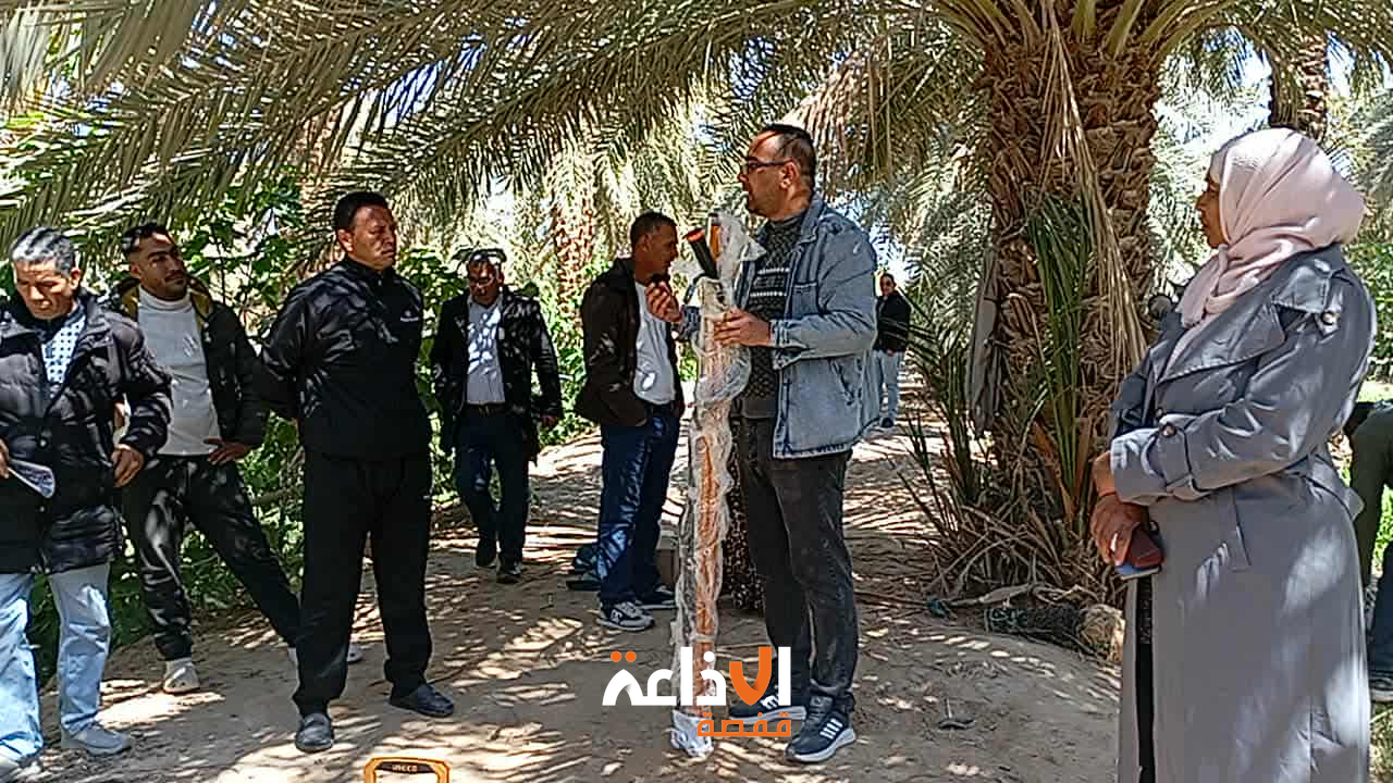 قبلي: يوم حقلي حول التلقيح الآلي للنخيل ومكافحة عنكبوت الغبار لفائدة الفلاحين