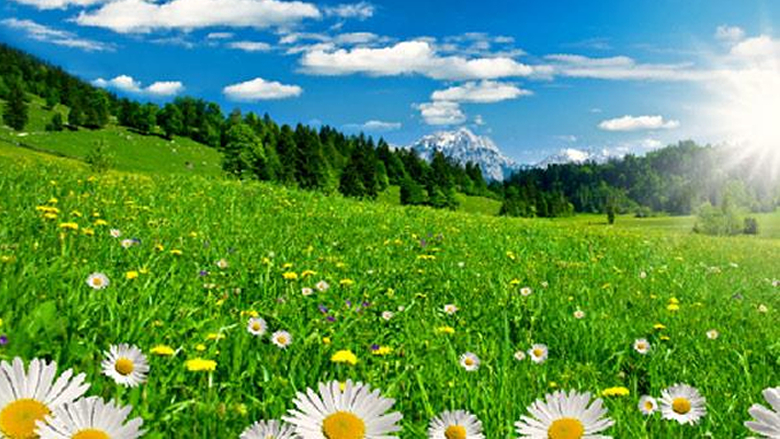 اليوم: طقس صاف إلى قليل السحب بأغلب الجهات والحرارة في ارتفاع طفيف