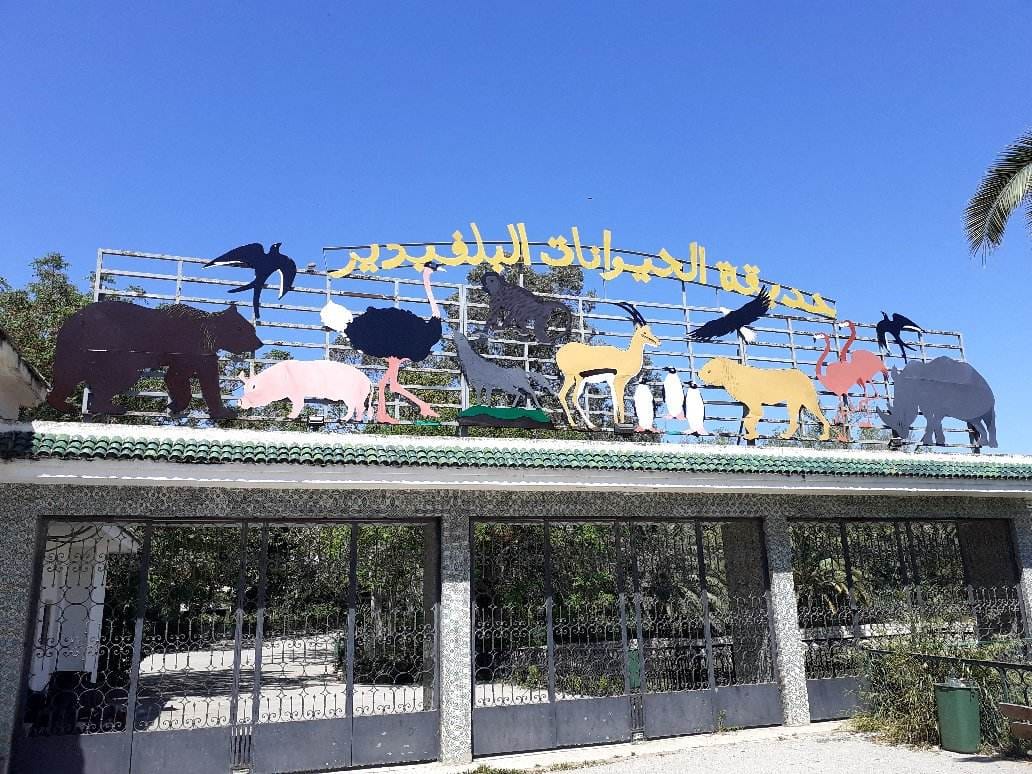 بداية من 13 أفريل: غلق حديقة الحيوانات بالبلفيدير لمدة شهر
