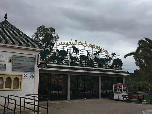 بداية من 13 أفريل: غلق حديقة الحيوانات بالبلفيدير لمدة شهر