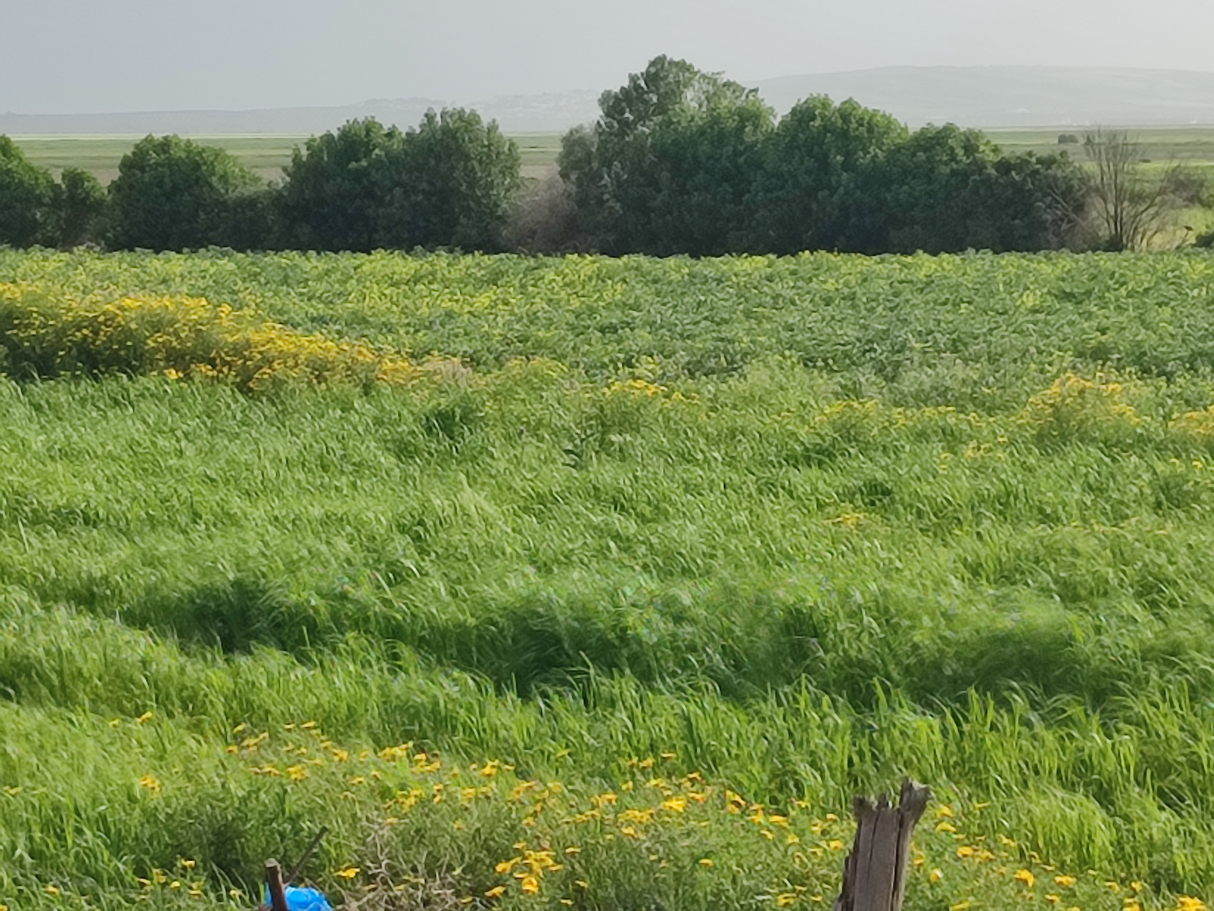 Temps printanier et légèrement plus chaud ce mercredi en Tunisie