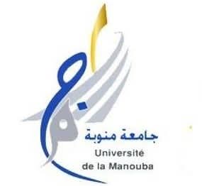 جامعة منوبة تنظّم الدورة السابعة من يوم التواصل والتشبيك