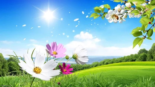 طقس الخميس: سحب قليلة على كامل البلاد والحرارة تصل إلى 33 درجة