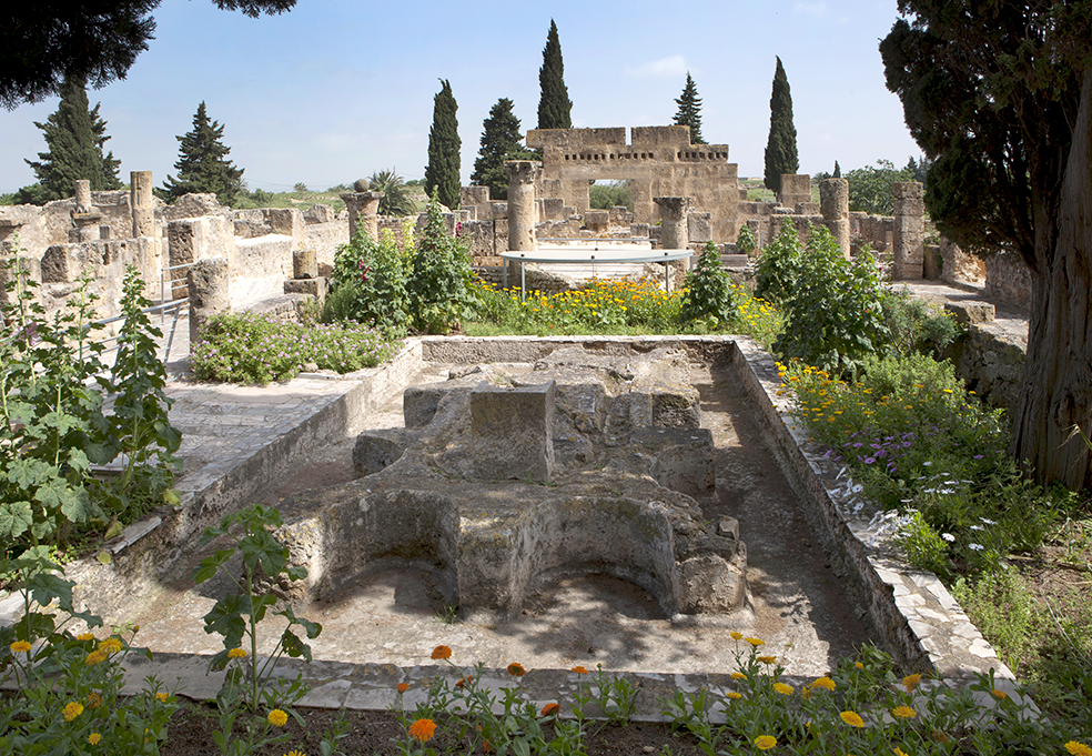 الموقع الأثري بأوتيك: يوم تطوعي لتنفيذ أعمال صيانة وتنظيف