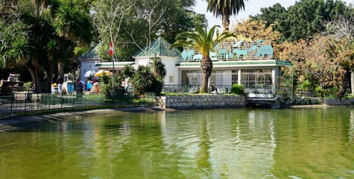Fermeture temporaire du Zoo du Belvédère pour travaux de maintenance