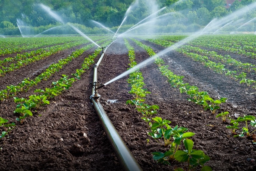  توزر: تقدّم أشغال إحداث عدد من المناطق السقوية بنسب متفاوتة