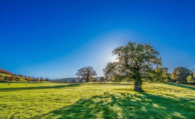 Temps stable et températures en hausse sur l’ensemble du pays