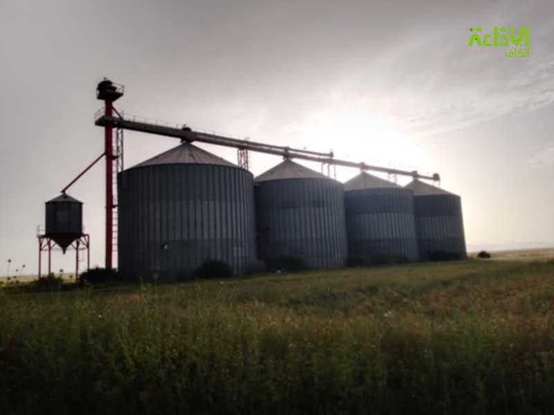 الكاف: تواصل زيارات معاينة جاهزية مراكز تجميع الحبوب لموسم الحصاد 