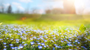 Les températures poursuivent leur légère hausse