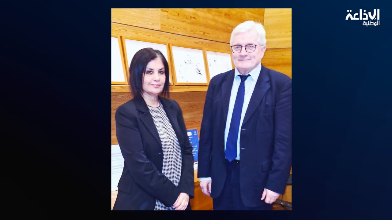 في لقاء مع رئيس لجنة بالبرلمان الفنلندي: سفيرة تونس بفنلندا تطرح مسألة استرجاع الأموال المنهوبة