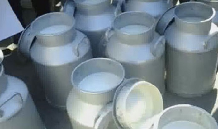 الغرفة الجهوية لمراكز تجميع الحليب بباجة تطالب بتنظيم نشاط نقل الحليب لحماية منظومة الألبان 