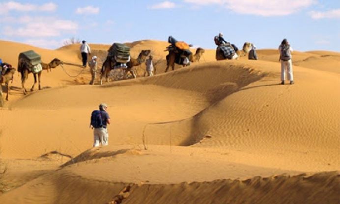 توزر: ضبط مجموعة من التدابير استعدادا للموسم السياحي الصيفي