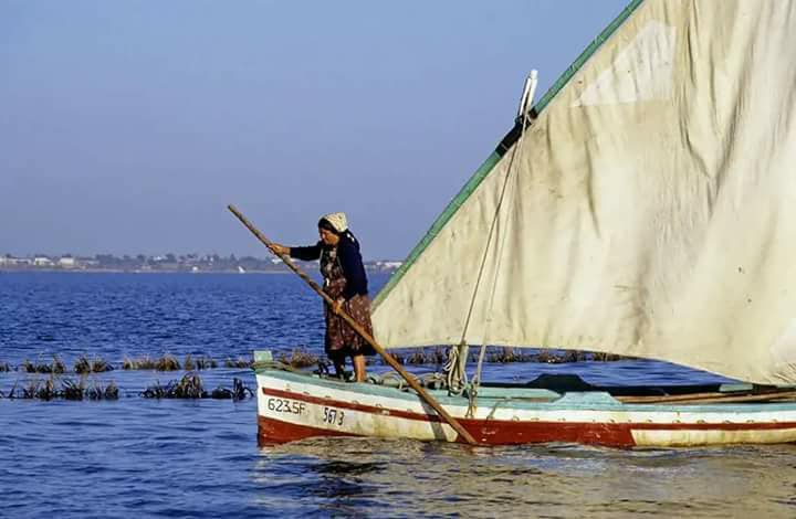 قرقنة :مشروع يستهدف الناشطات في قطاع الصيد البحري التقليدي لتمكينهن اقتتصاديا واجتماعيا