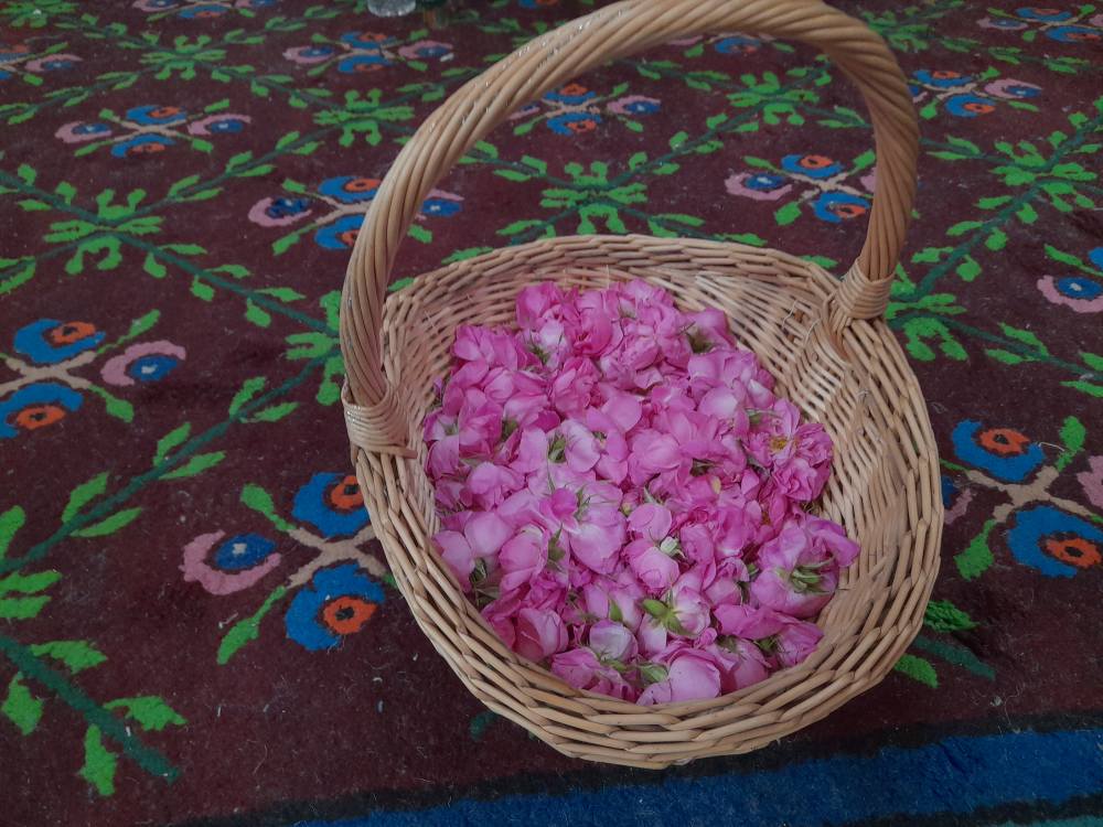 انخفاض طفيف في درجات الحرارة الاثنين