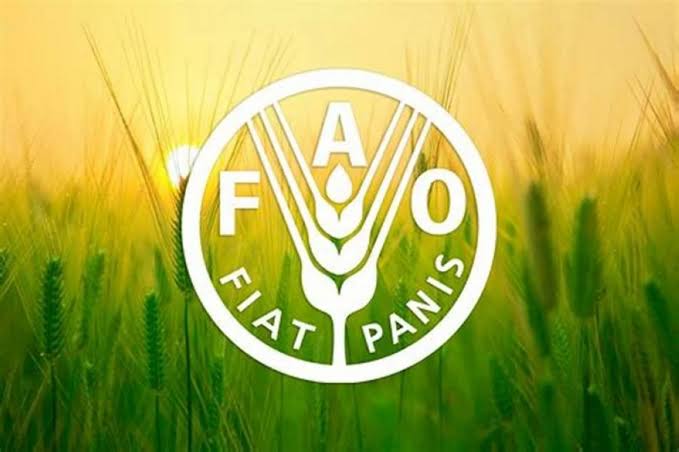 فاو تحذر من تضرر الموسمين الزراعيين الحالي والمقبل إذا استمر إغلاق مضيق هرمز