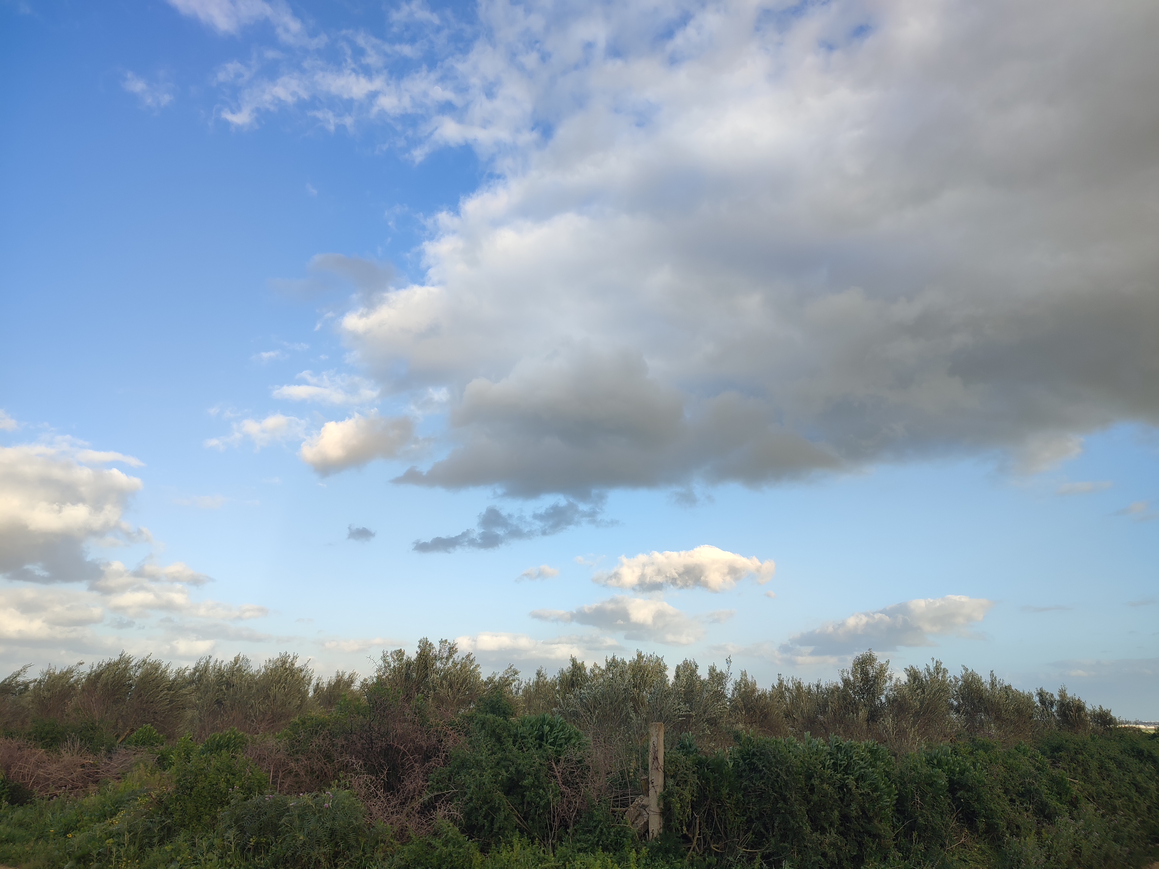 Temps peu nuageux et températures en hausse mardi