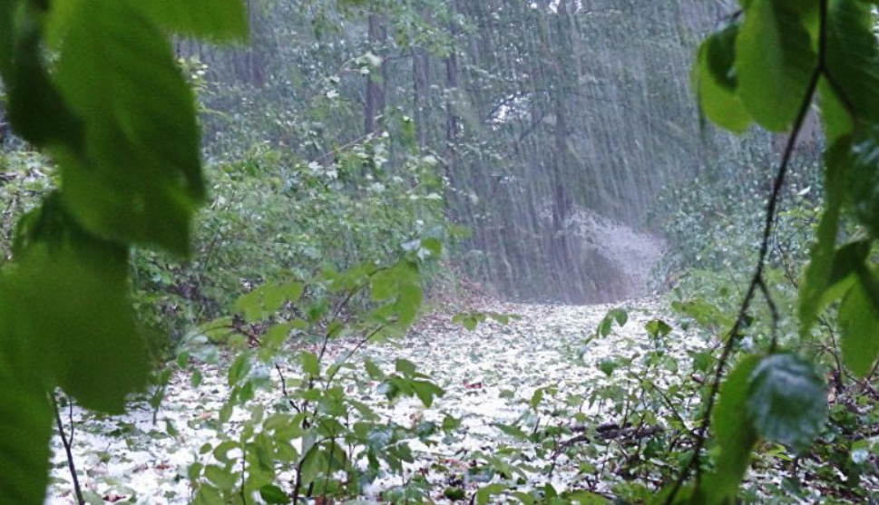 نشرة متابعة: أمطار رعدية وأحيانا غزيرة وبكميات محليا هامة اليوم الثلاثاء