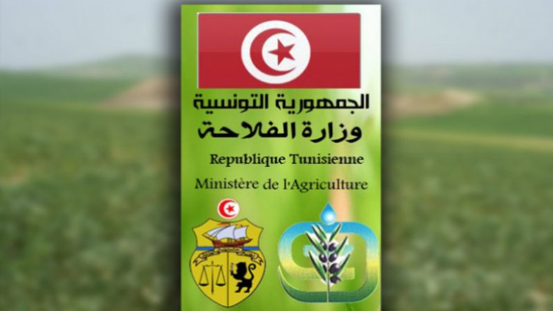 وزارة الفلاحة تدعو الى اتخاذ الاحتياطات اللازمة لمواجهة التقلبات الجوية المنتظرة اليوم الثلاثاء