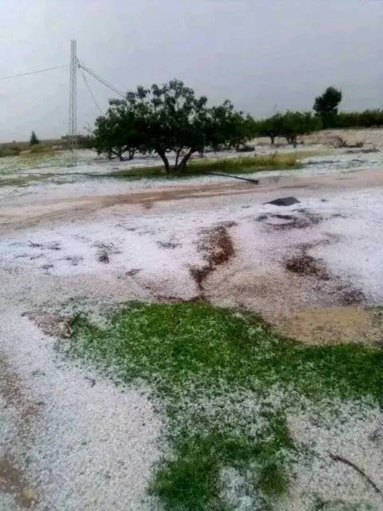 سليانة: التدخّل في عدد من الطرقات والمسالك الريفية بالروحية ومكثر وكسرى وسليانة الجنوبية إثر تساقط كميات هامة من الأمطار