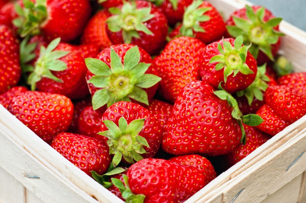 هيئة السلامة الصحية: الفراولة المتداولة في الأسواق آمنة ومطابقة للمعايير الصحية